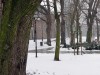 W 2013_Plock 1